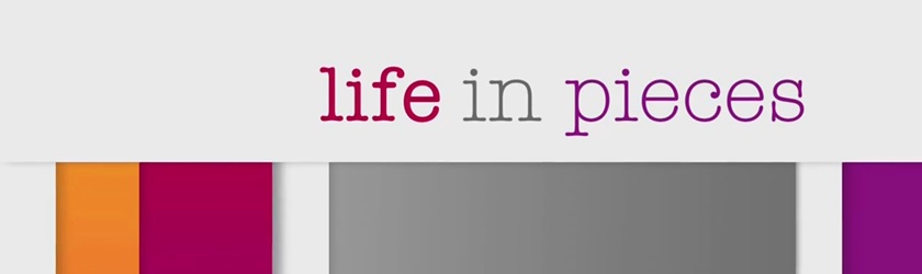 lifeinpieces1