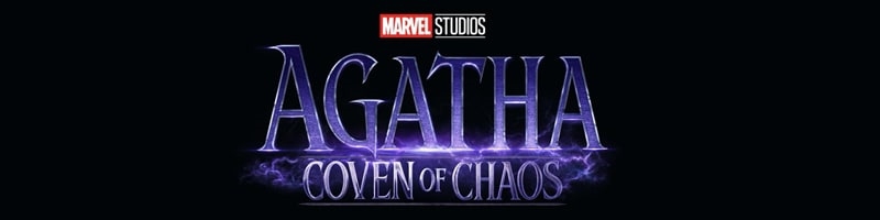 AGATHA COVEN OF CHAOS - BANNER